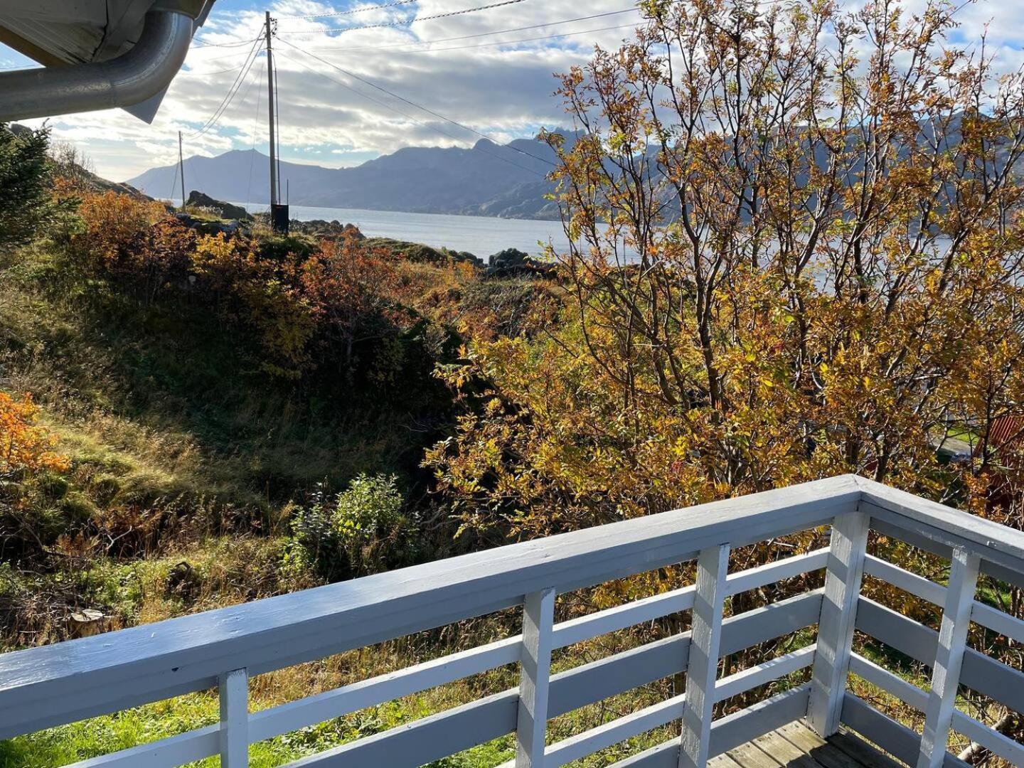 Gravdal  Vettinghytta, Close To The Sea With Amazing View. מראה חיצוני תמונה
