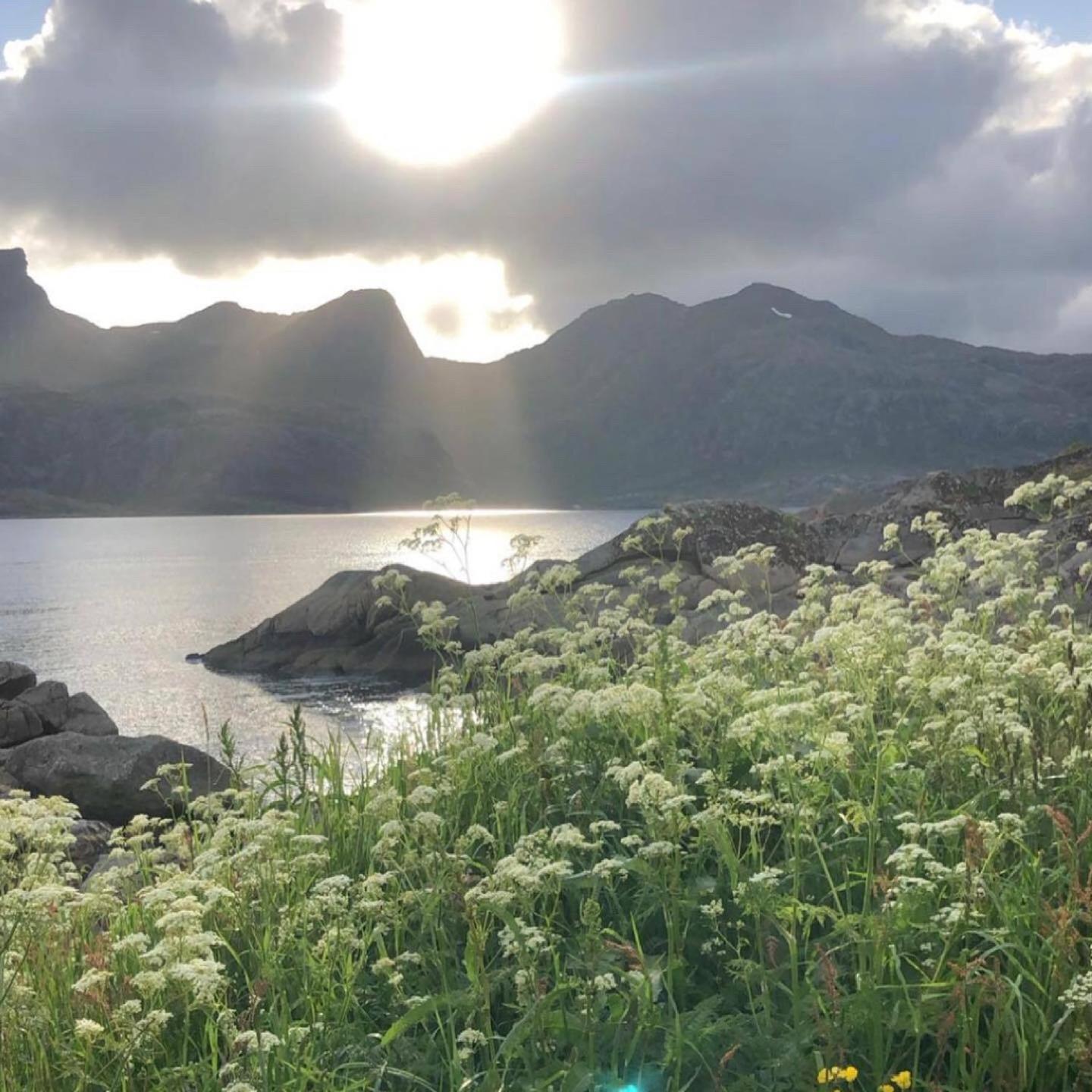Gravdal  Vettinghytta, Close To The Sea With Amazing View. מראה חיצוני תמונה
